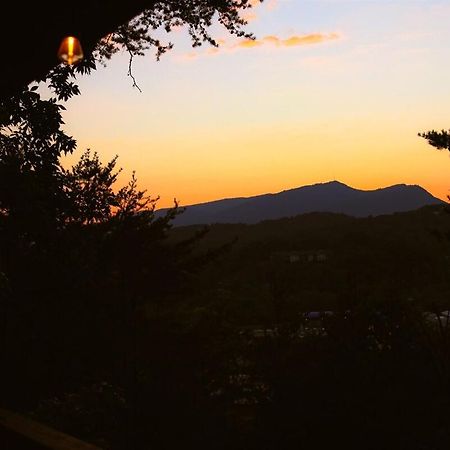 Bluff Mountain View Villa Pigeon Forge Dış mekan fotoğraf